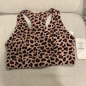 Cutest Leopard Sports Bra